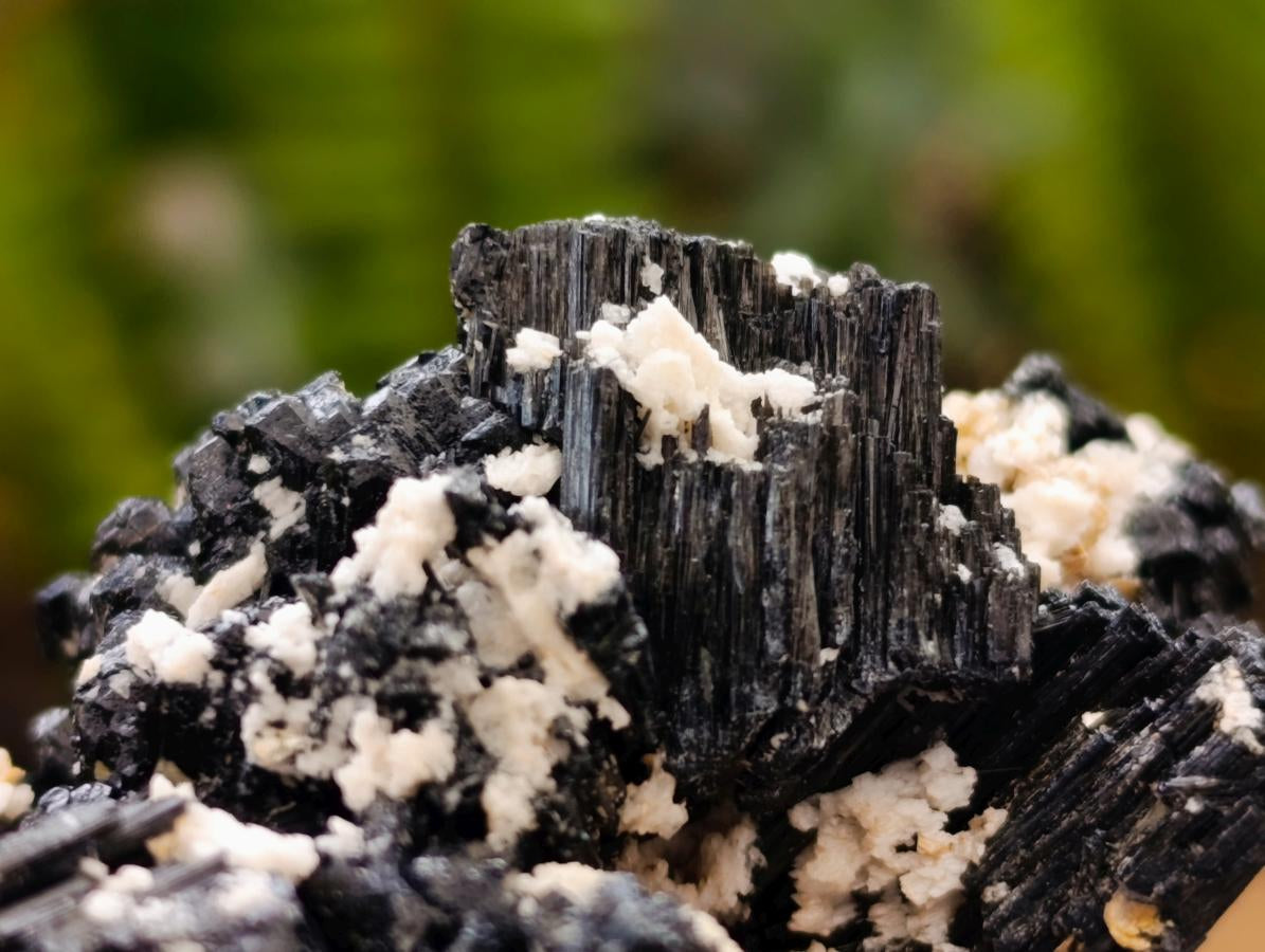 Natural Schorl Black Tourmaline with Vermiculite x 35 From Erongo, Namibia