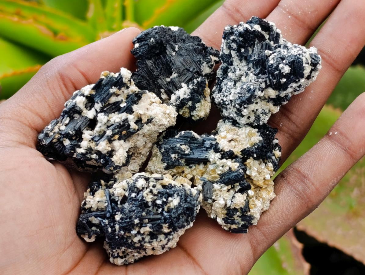 Natural Schorl Black Tourmaline with Vermiculite x 35 From Erongo, Namibia