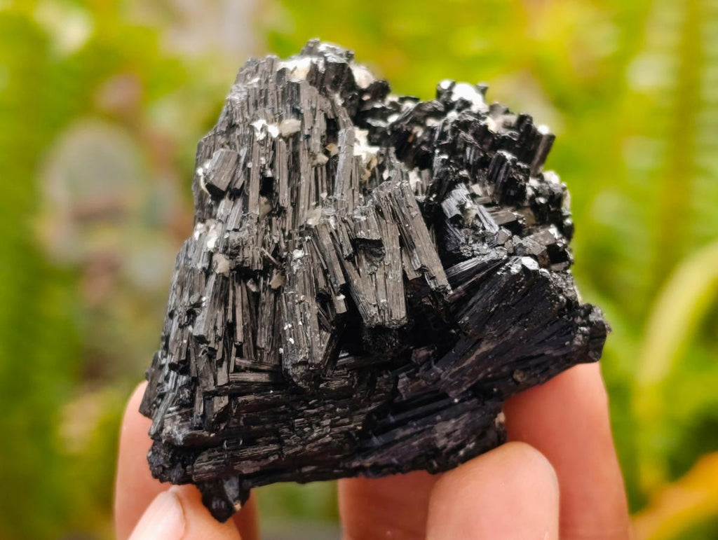 Natural Schorl Black Tourmaline with Vermiculite x 35 From Erongo, Namibia