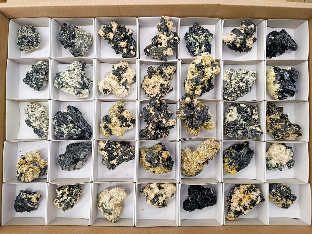 Natural Schorl Black Tourmaline with Vermiculite x 35 From Erongo, Namibia