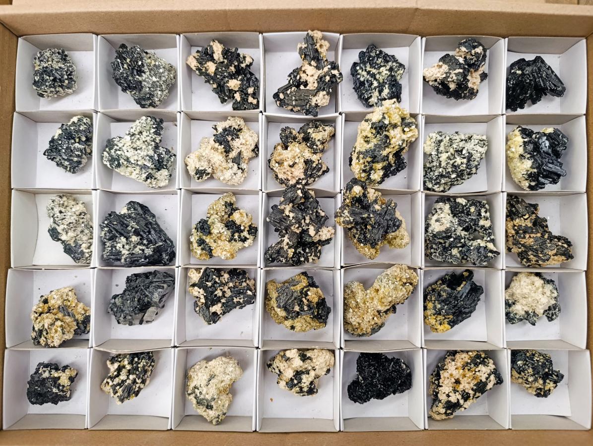 Natural Schorl Black Tourmaline with Vermiculite x 35 From Erongo, Namibia