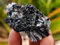 Natural Schorl Black Tourmaline with Vermiculite x 35 From Erongo, Namibia