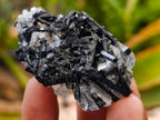 Natural Schorl Black Tourmaline with Vermiculite x 35 From Erongo, Namibia