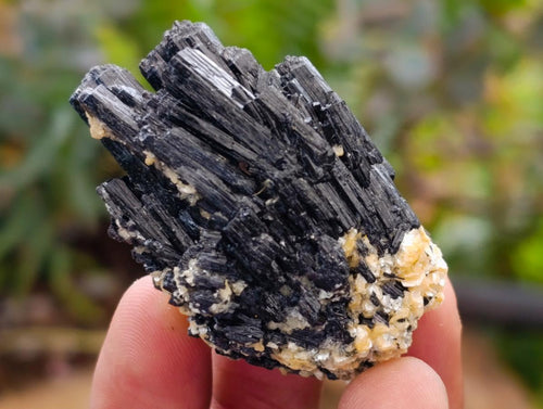 Natural Schorl Black Tourmaline with Vermiculite x 35 From Erongo, Namibia