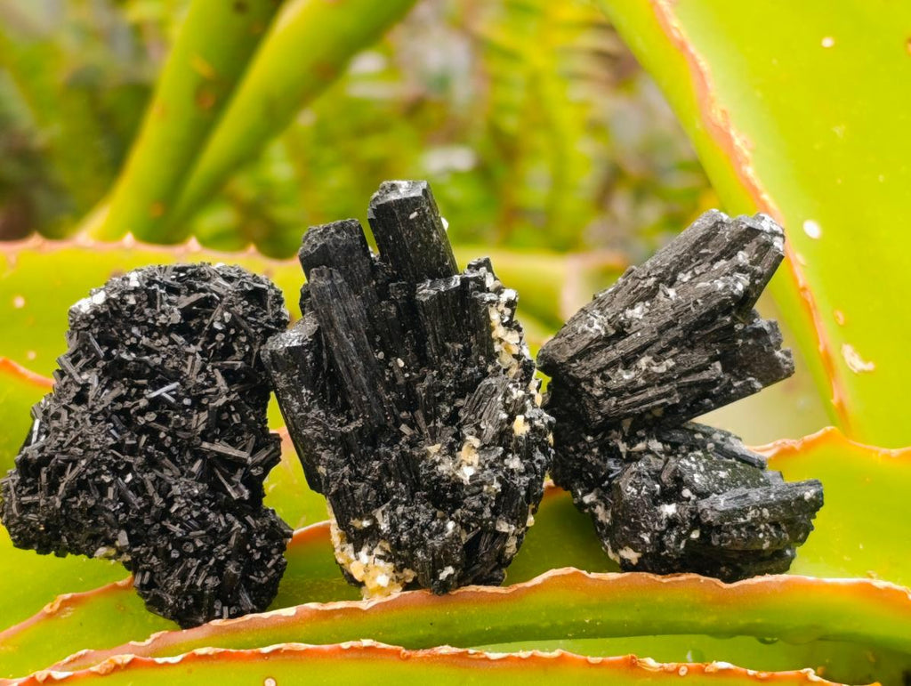 Natural Schorl Black Tourmaline with Vermiculite x 35 From Erongo, Namibia