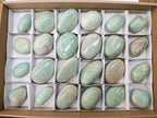 Polished Amazonite Palm Stones x 24 From Zimbabwe