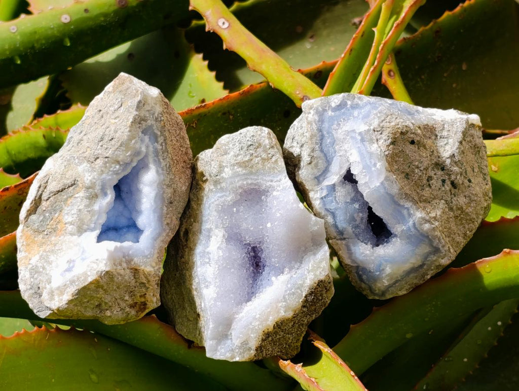 Natural Blue Lace Agate Geode Specimens x 12 From Nsanje, Malawi