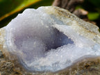 Natural Blue Lace Agate Geode Specimens x 12 From Nsanje, Malawi