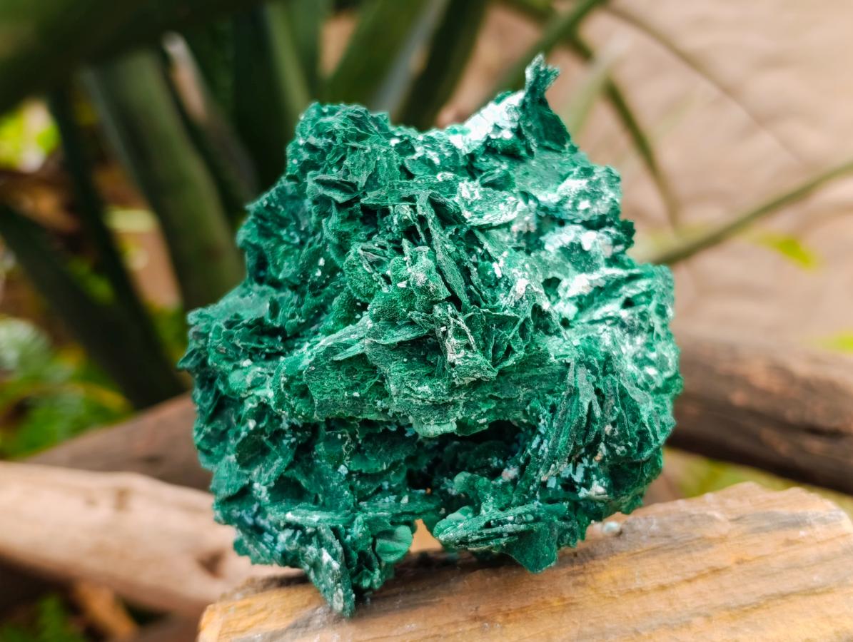 Natural Rare Malachite After Azurite Pseudomorph Specimens x 2 From Kolwezi, Congo