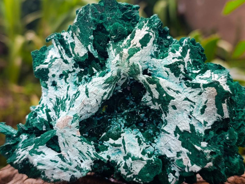 Natural Rare Malachite After Azurite Pseudomorph Specimens x 2 From Kolwezi, Congo
