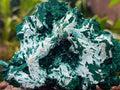 Natural Rare Malachite After Azurite Pseudomorph Specimens x 2 From Kolwezi, Congo