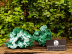 Natural Rare Malachite After Azurite Pseudomorph Specimens x 2 From Kolwezi, Congo