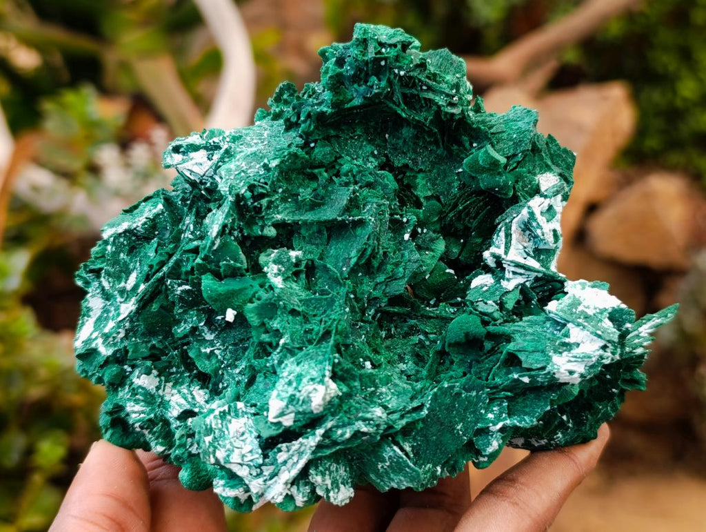 Natural Rare Malachite After Azurite Pseudomorph Specimens x 2 From Kolwezi, Congo