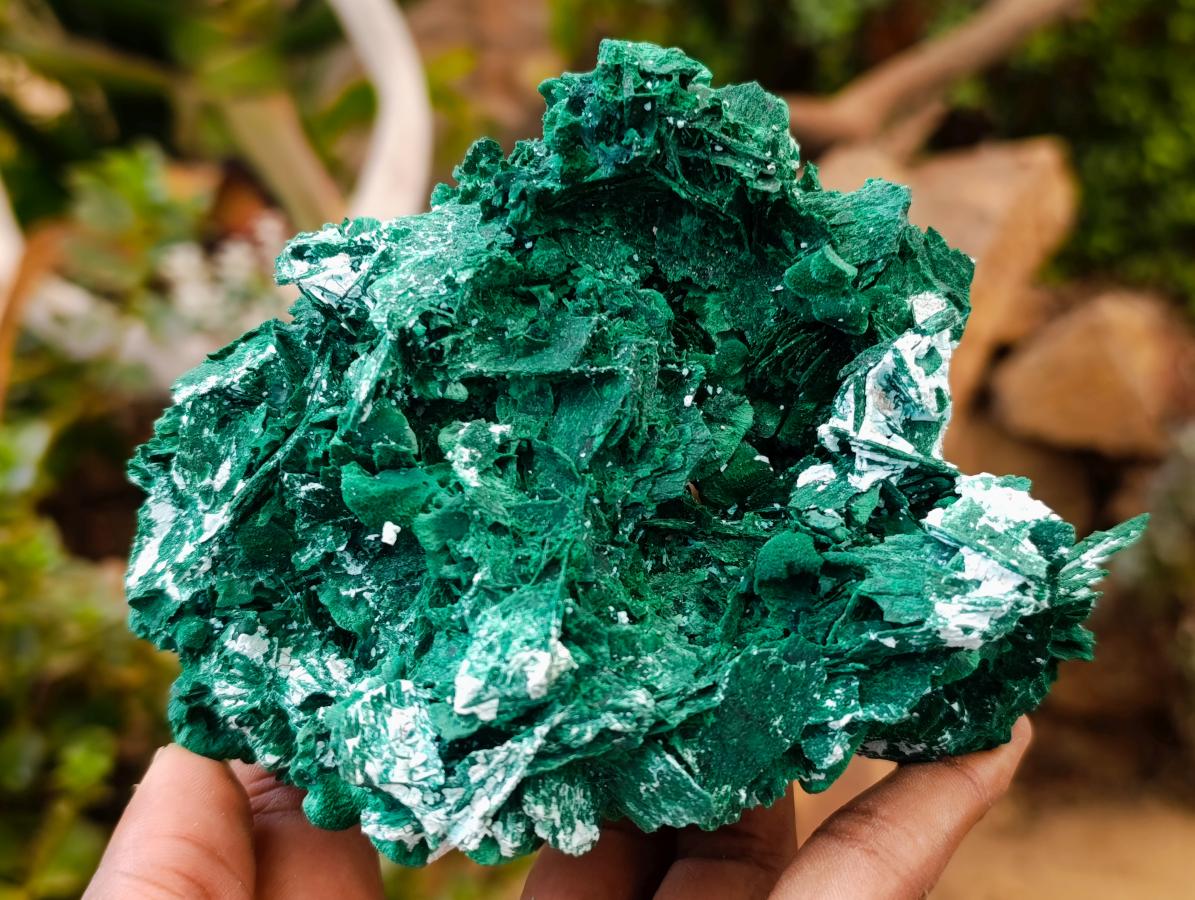 Natural Rare Malachite After Azurite Pseudomorph Specimens x 2 From Kolwezi, Congo
