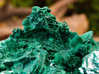 Natural Rare Malachite After Azurite Pseudomorph Specimens x 2 From Kolwezi, Congo