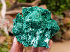Natural Rare Malachite After Azurite Pseudomorph Specimens x 2 From Kolwezi, Congo