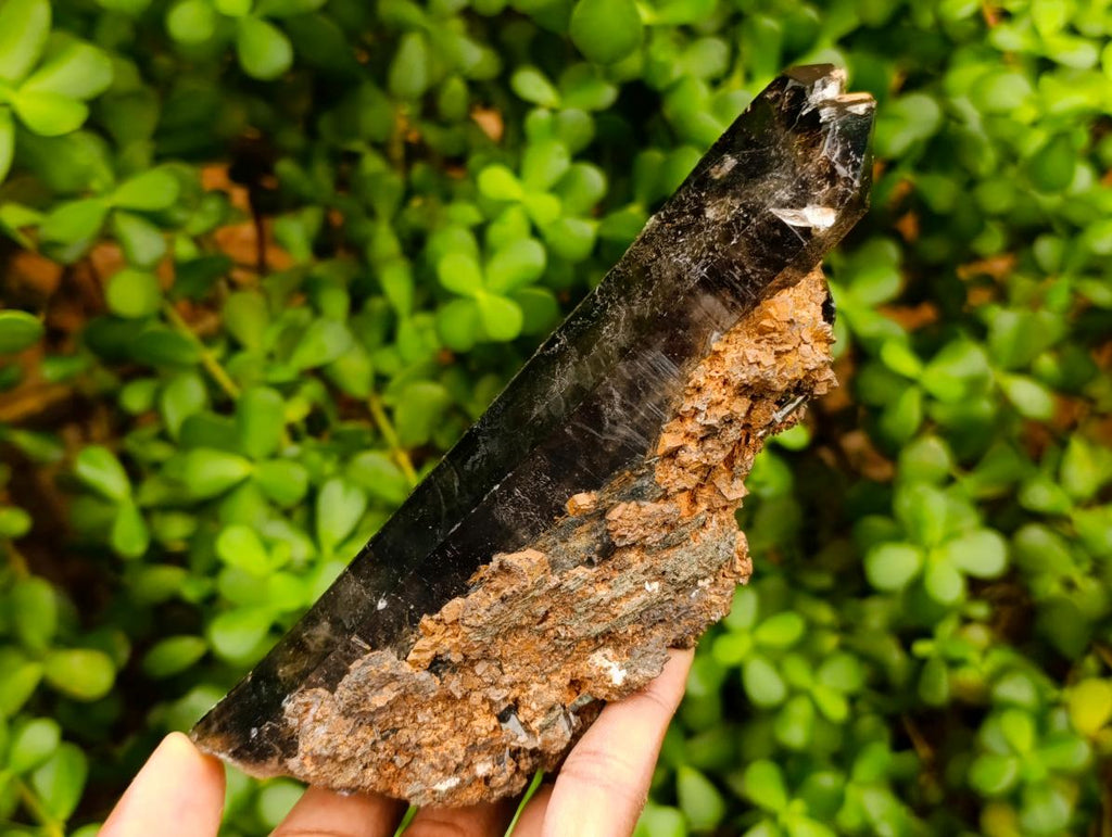 Natural Morion Smokey Quartz Crystals x 39 From Mulanje, Malawi