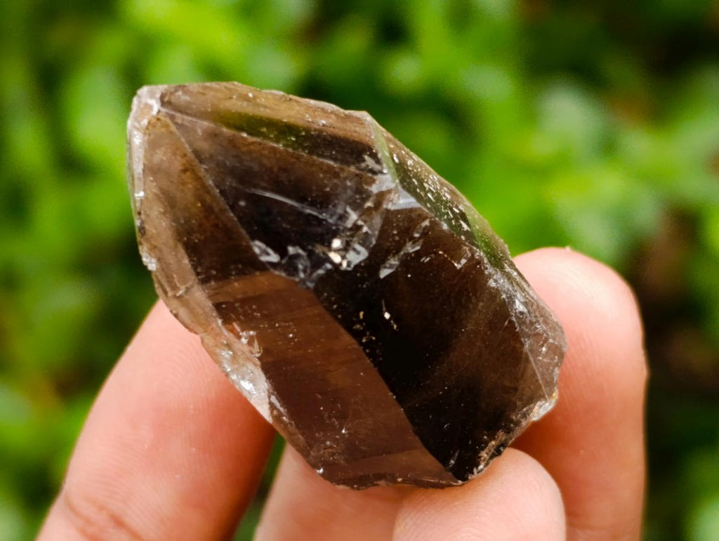 Natural Morion Smokey Quartz Crystals x 39 From Mulanje, Malawi