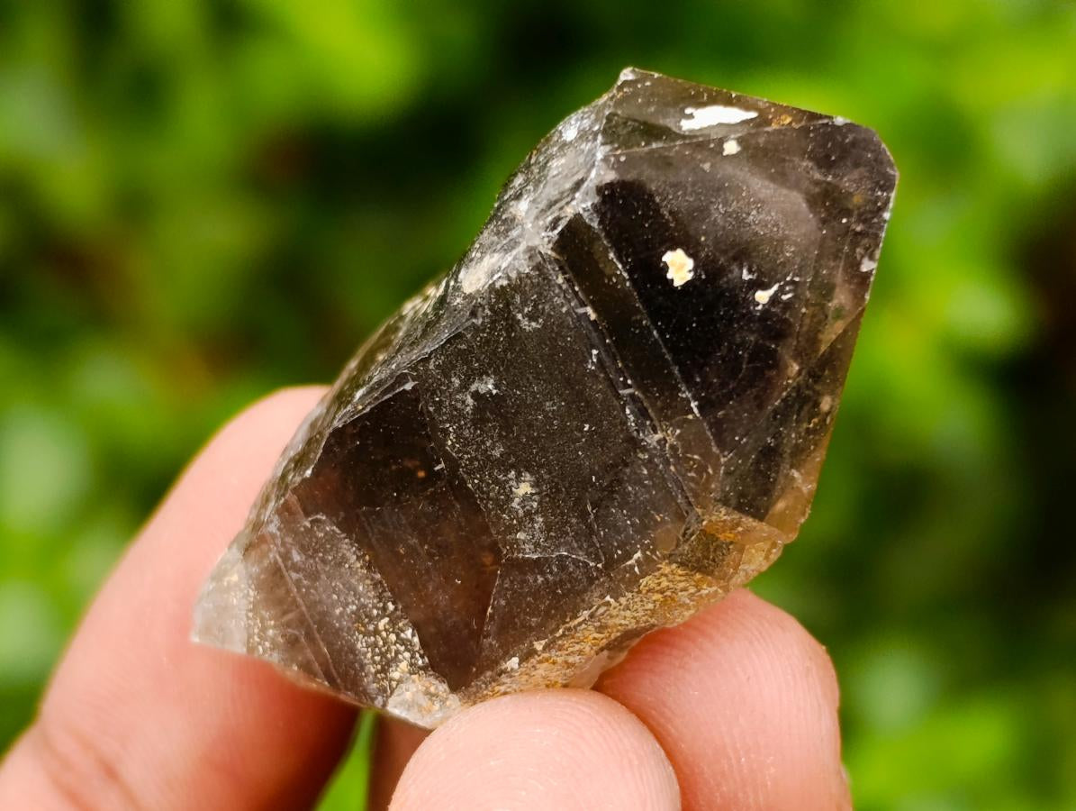 Natural Morion Smokey Quartz Crystals x 39 From Mulanje, Malawi