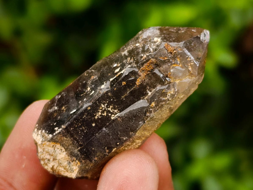 Natural Morion Smokey Quartz Crystals x 39 From Mulanje, Malawi