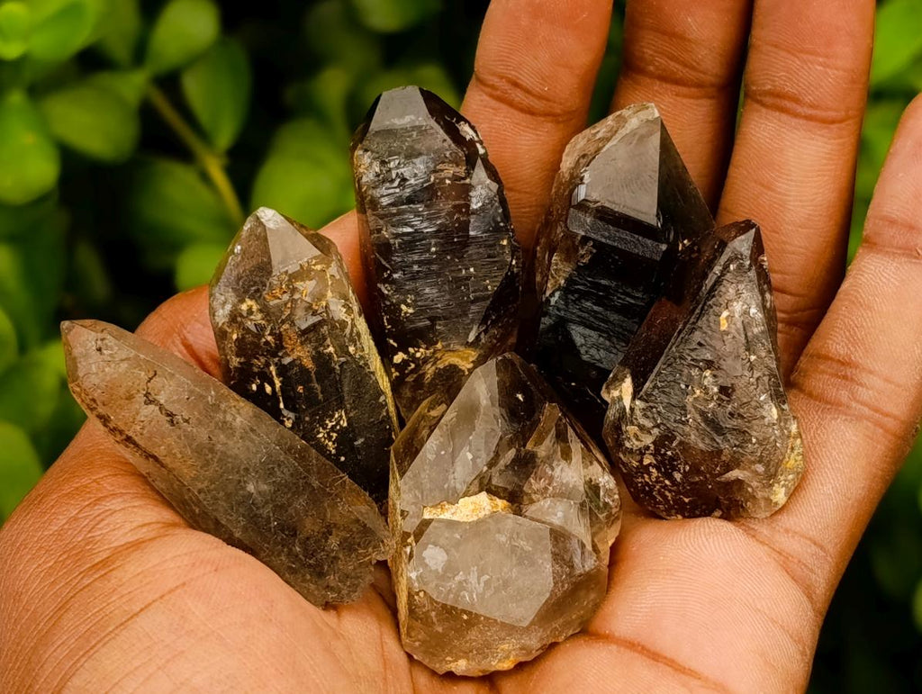 Natural Morion Smokey Quartz Crystals x 39 From Mulanje, Malawi