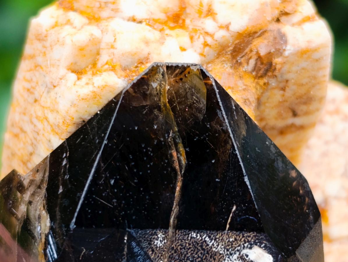 Natural Morion Smokey Quartz Crystals x 39 From Mulanje, Malawi