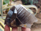 Natural Morion Smokey Quartz Crystals x 39 From Mulanje, Malawi