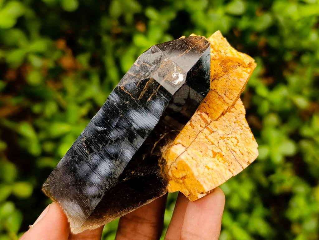 Natural Morion Smokey Quartz Crystals x 39 From Mulanje, Malawi
