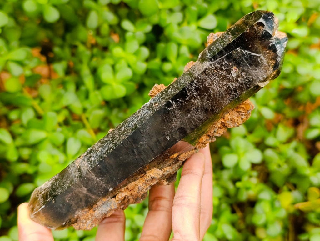 Natural Morion Smokey Quartz Crystals x 39 From Mulanje, Malawi