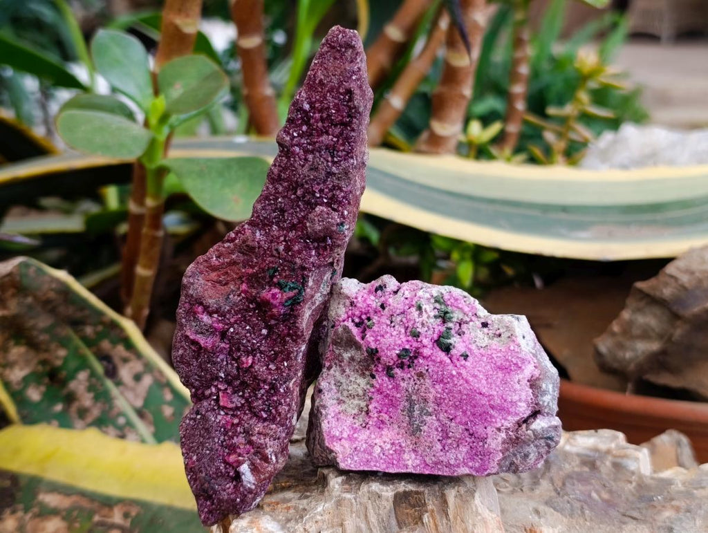 Natural Salrose Cobaltion Dolomite Specimens x 6 From Kakanda, Congo