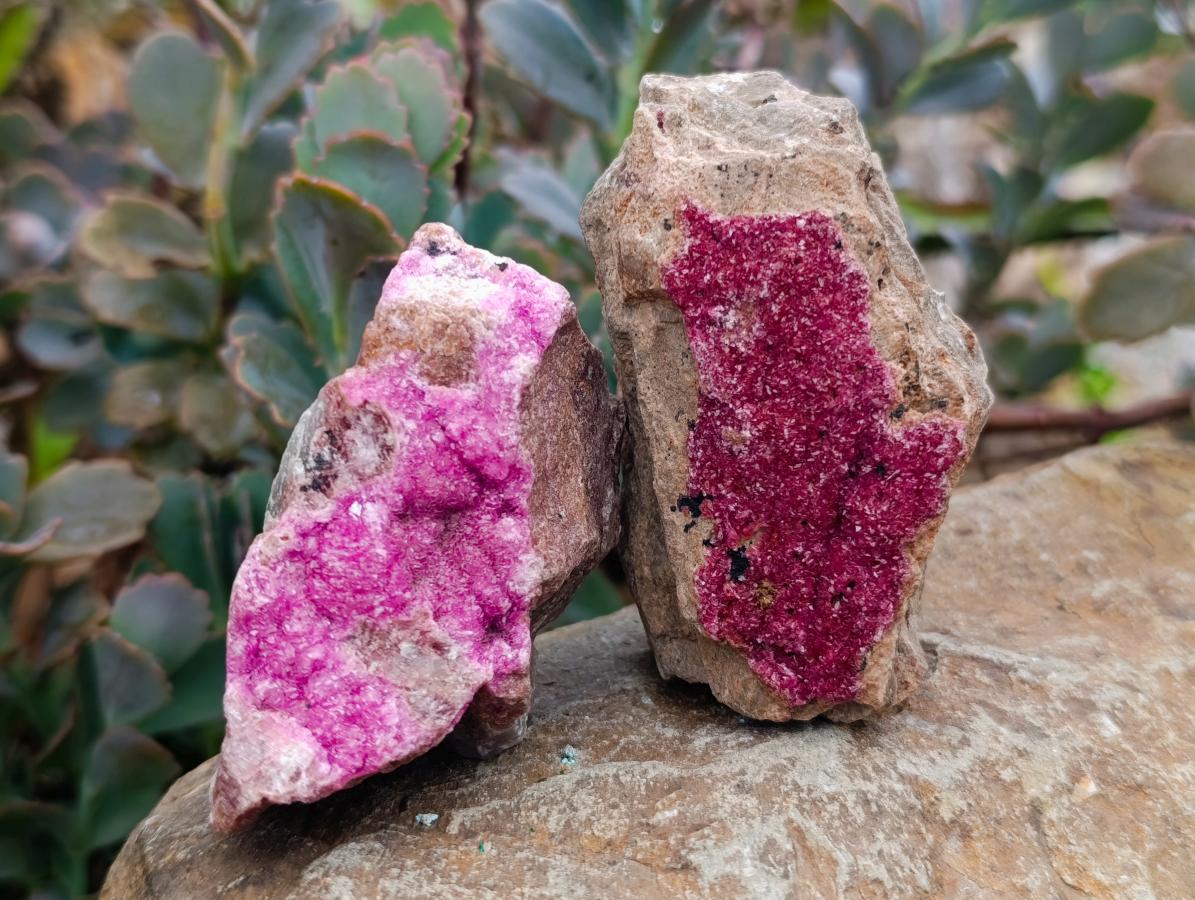 Natural Salrose Cobaltion Dolomite Specimens x 6 From Kakanda, Congo