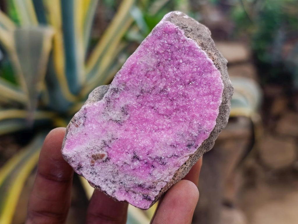 Natural Salrose Cobaltion Dolomite Specimens x 6 From Kakanda, Congo