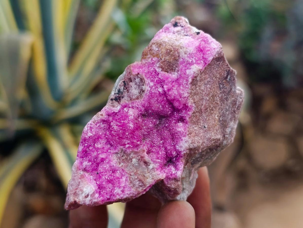 Natural Salrose Cobaltion Dolomite Specimens x 6 From Kakanda, Congo