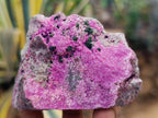 Natural Salrose Cobaltion Dolomite Specimens x 6 From Kakanda, Congo
