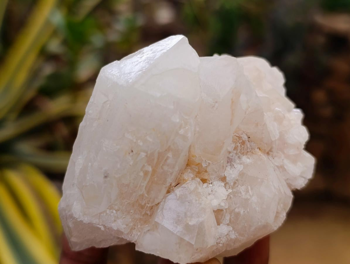 Natural Mixed Quartz Crystal Clusters x 12 From Madagascar