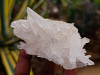 Natural Mixed Quartz Crystal Clusters x 12 From Madagascar