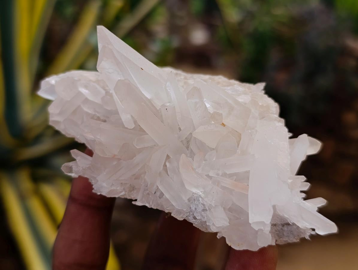 Natural Mixed Quartz Crystal Clusters x 12 From Madagascar
