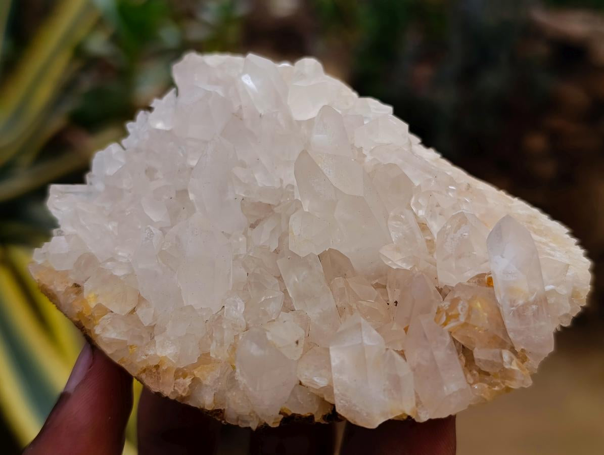 Natural Mixed Quartz Crystal Clusters x 12 From Madagascar