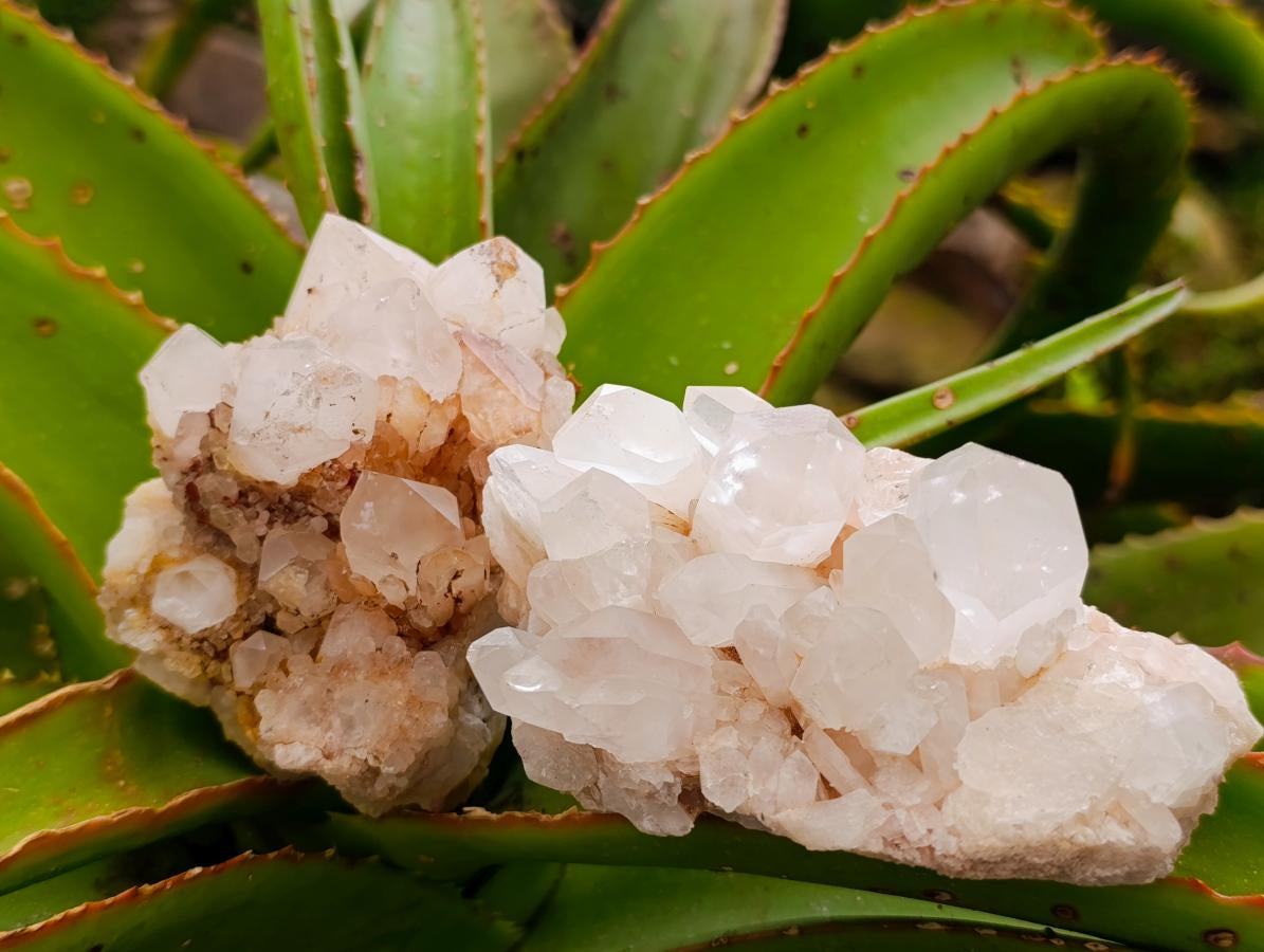 Natural Mixed Quartz Crystal Clusters x 12 From Madagascar