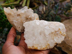 Natural Mixed Quartz Crystal Clusters x 12 From Madagascar