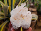 Natural Mixed Quartz Crystal Clusters x 12 From Madagascar