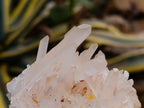 Natural Mixed Quartz Crystal Clusters x 12 From Madagascar