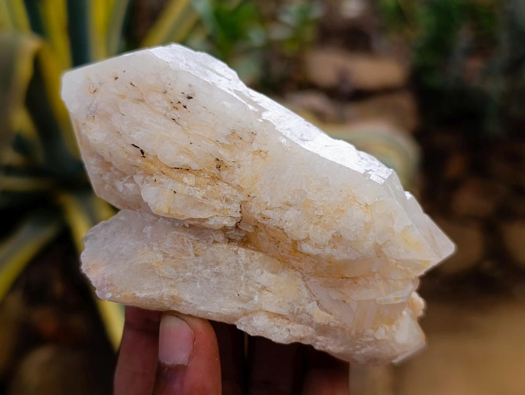 Natural Mixed Quartz Crystal Clusters x 12 From Madagascar