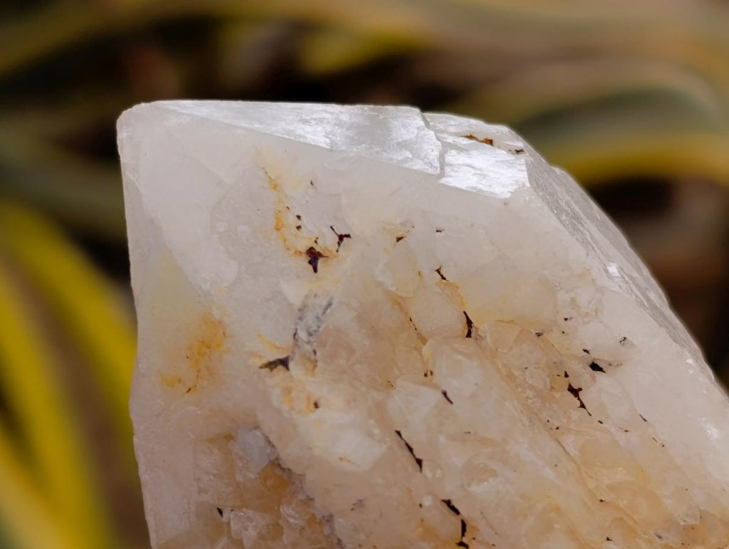 Natural Mixed Quartz Crystal Clusters x 12 From Madagascar