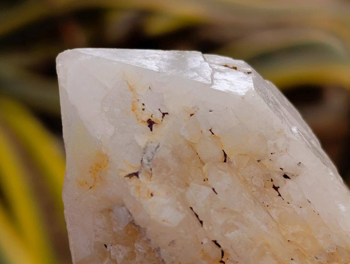 Natural Mixed Quartz Crystal Clusters x 12 From Madagascar