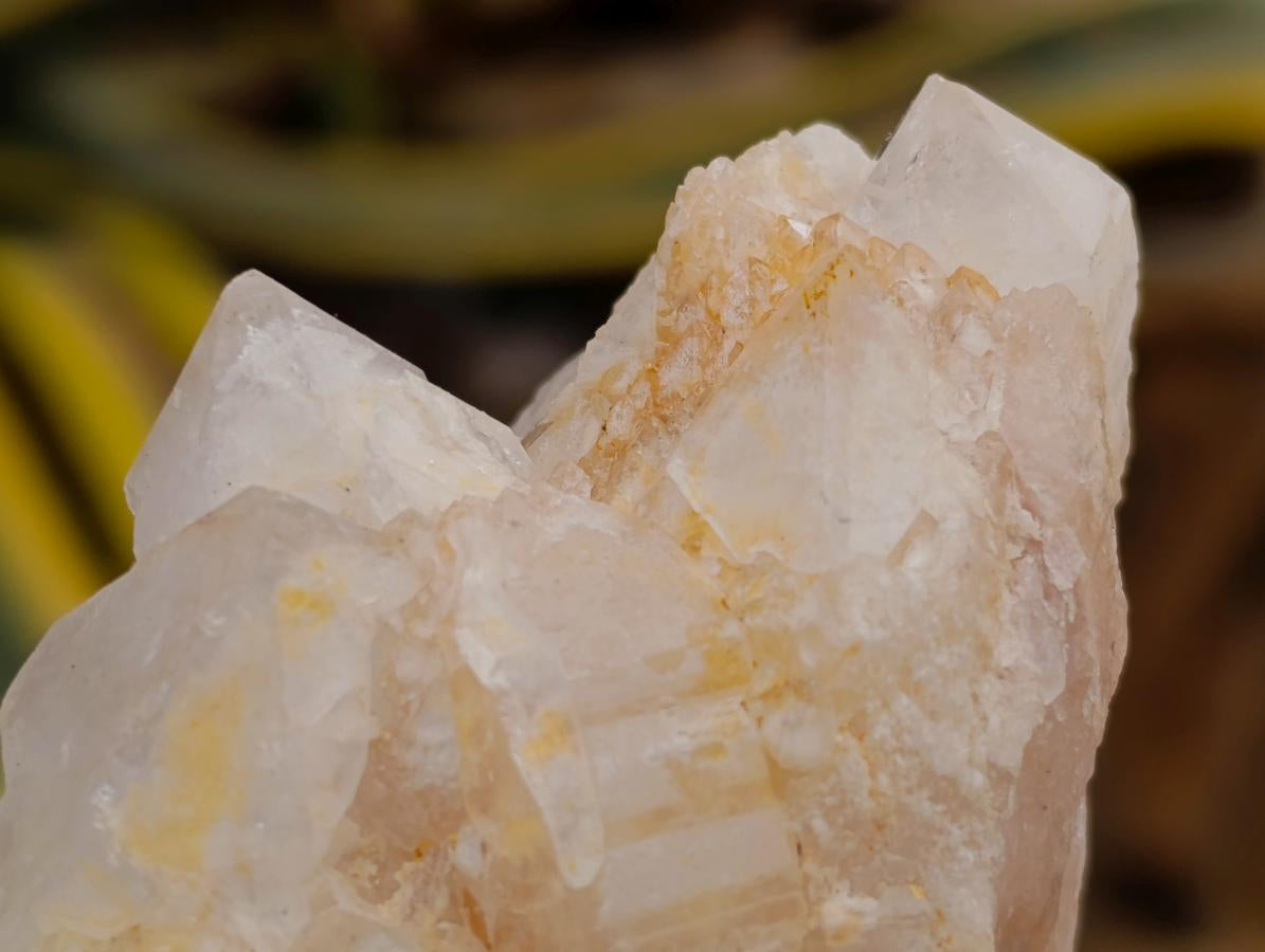 Natural Mixed Quartz Crystal Clusters x 12 From Madagascar