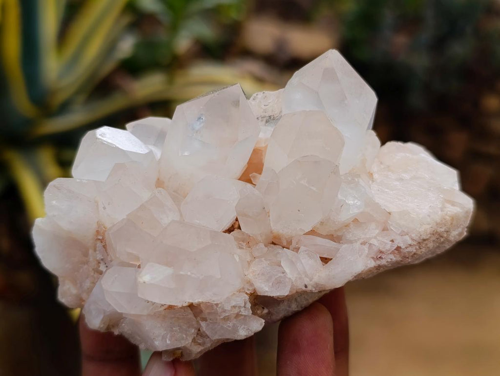 Natural Mixed Quartz Crystal Clusters x 12 From Madagascar