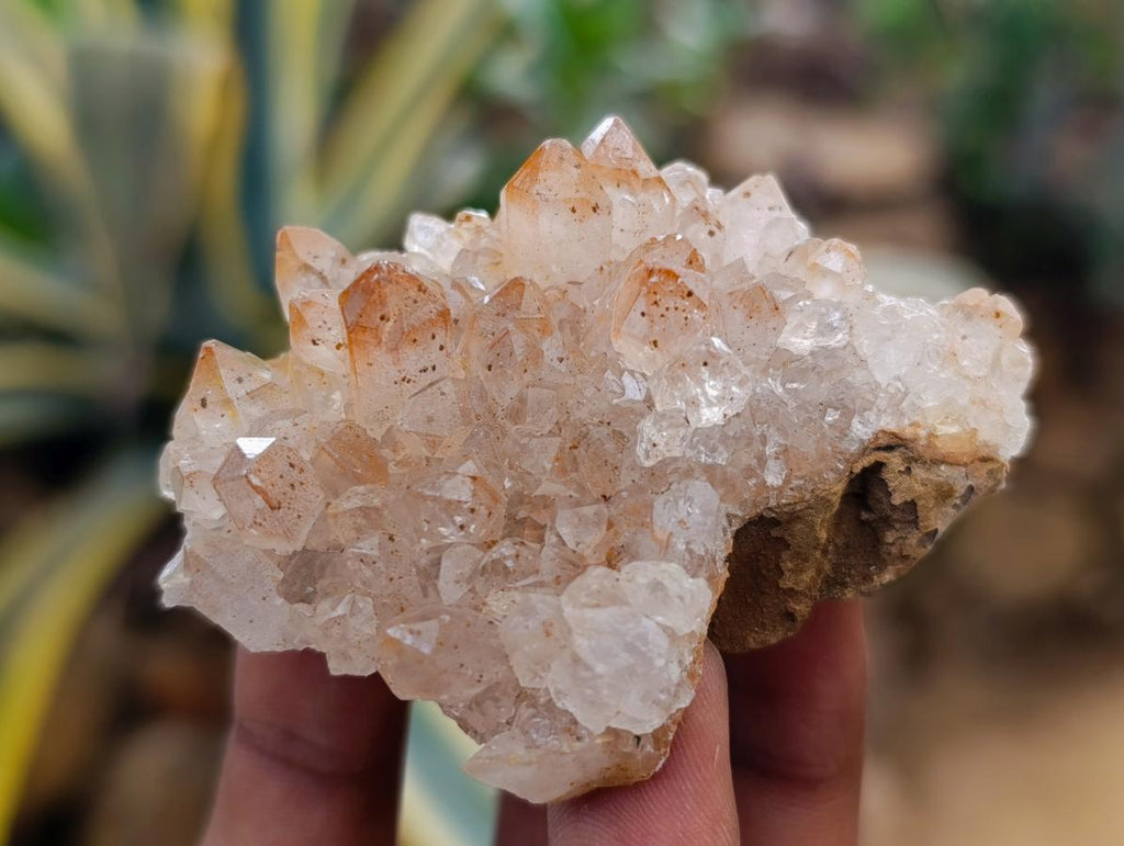 Natural Limonite Quartz Clusters x 35 From Solwezi, Zambia