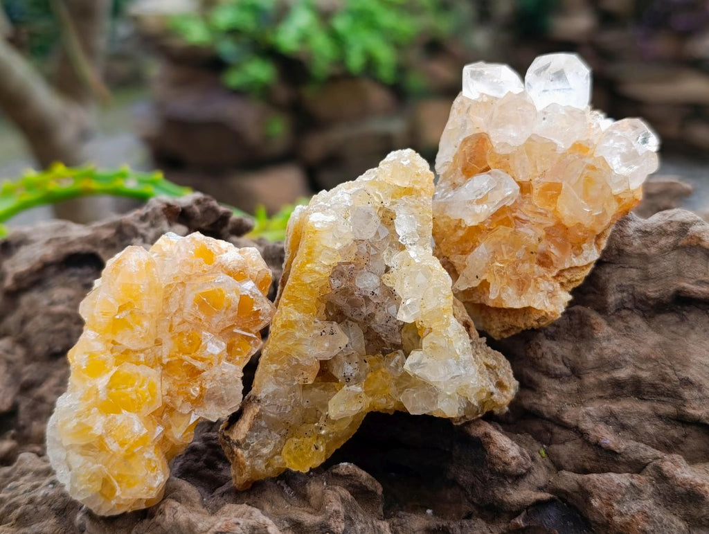 Natural Limonite Quartz Clusters x 35 From Solwezi, Zambia