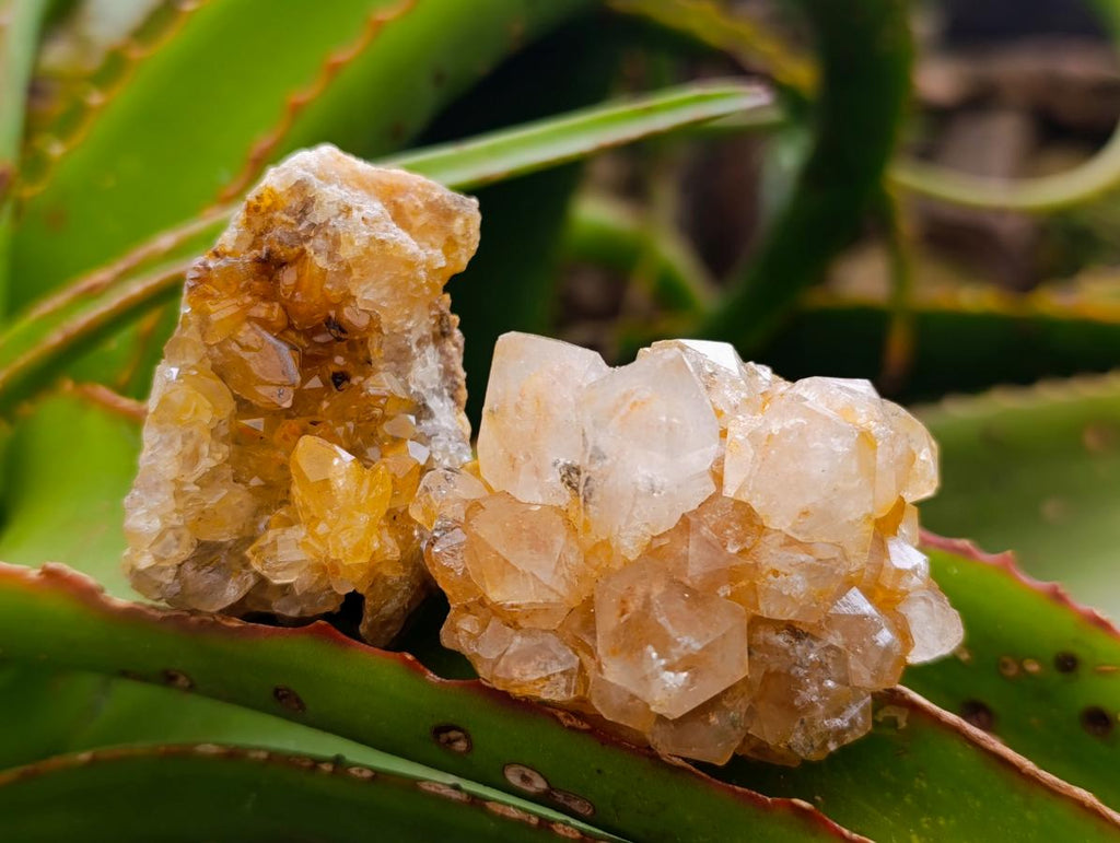 Natural Limonite Quartz Clusters x 35 From Solwezi, Zambia